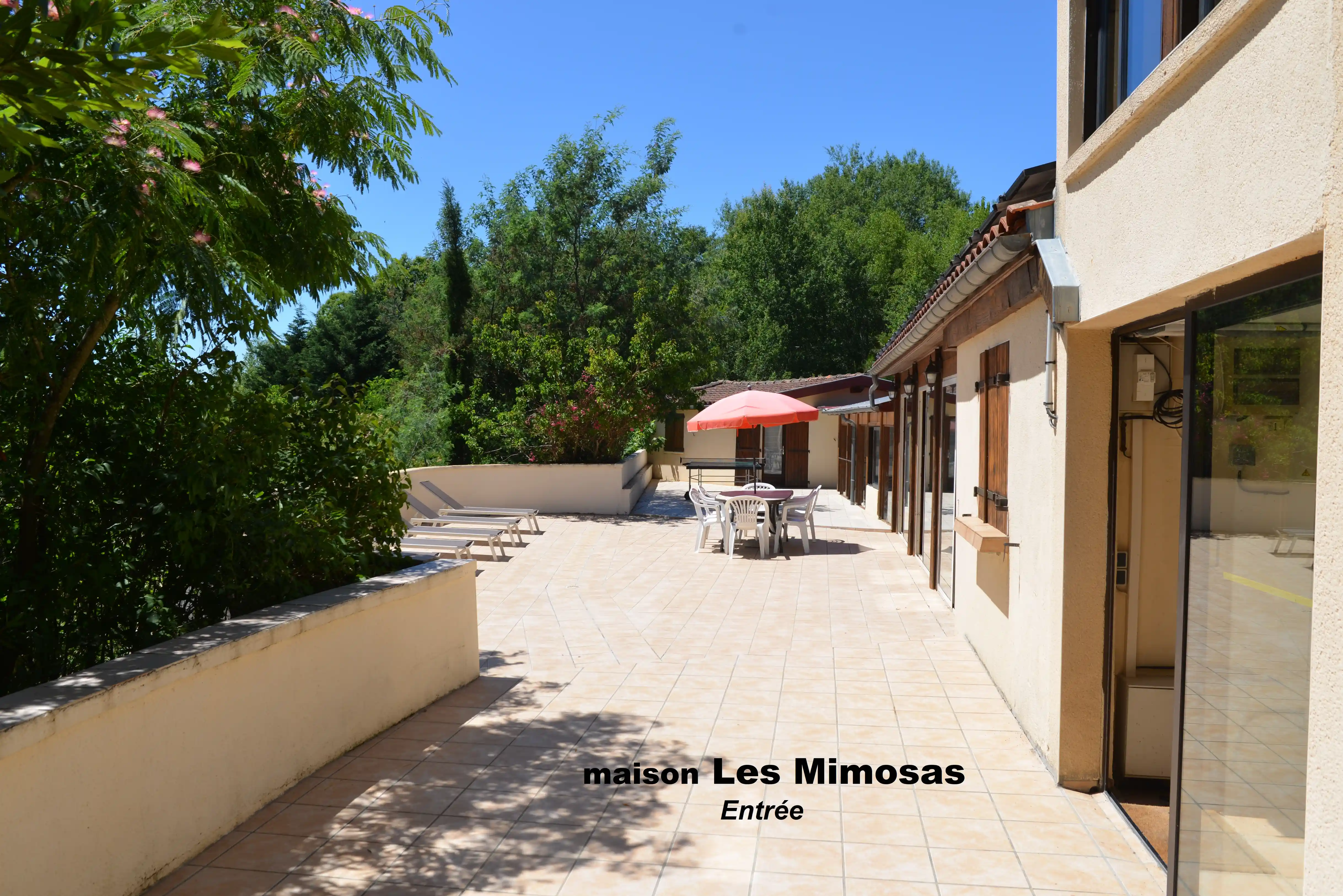 Les Mimosas - Photo 9